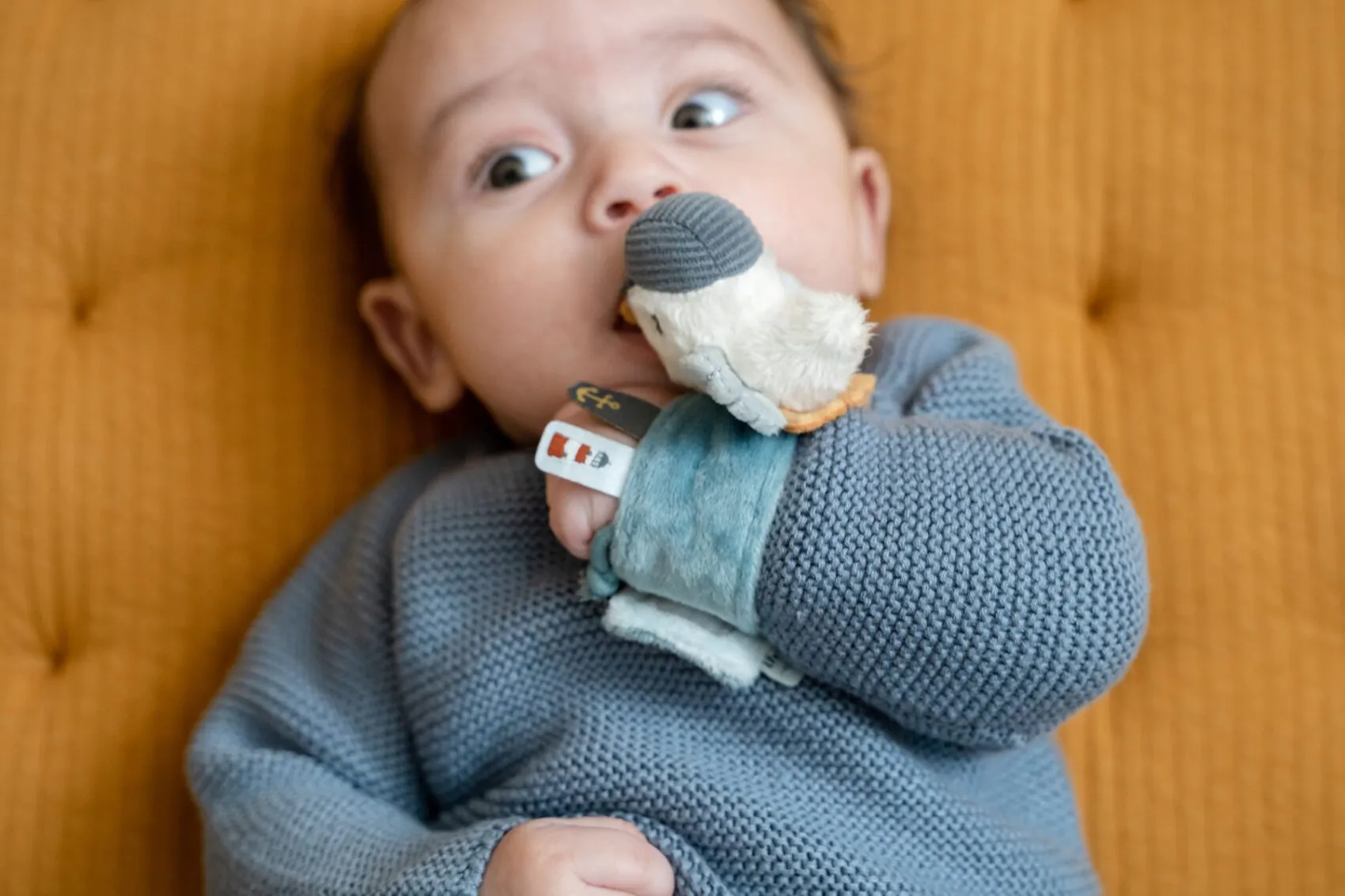 Little Dutch csukló csörgő sirály - Image 6